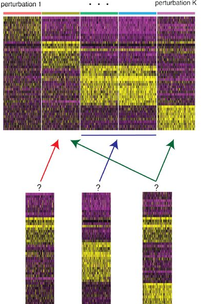 RNA fingerprinting heatmaps matched to a perturbation reference